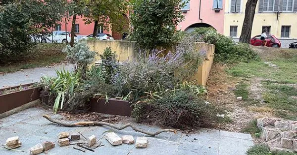 https://gazzettadiparma.cdn.m33cloud.com/resizer/600/315/true/2026_10_11/danneggiamenti-1791743205598.jpg--ah__le_foto__piazzale_salvo_d_acquisto_.webp?1791743205732