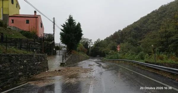 https://gazzettadiparma.cdn.m33cloud.com/resizer/600/315/true/2026_10_21/savona2-1792569996985.jpg--maltempo_in_liguria__a_savona_sono_caduti_oltre_368_millimetri_di_pioggia__decine_di_interventi_dei_vigili_del_fuoco.webp?1792569997578