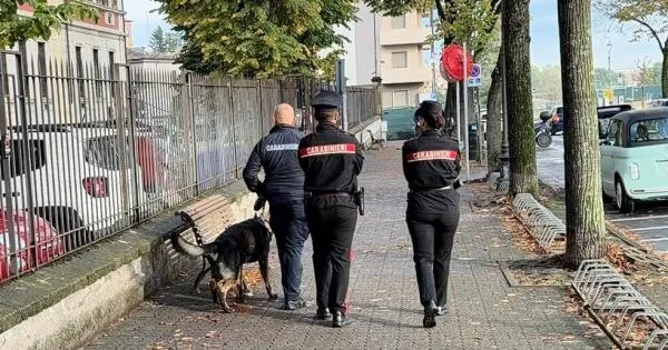 https://gazzettadiparma.cdn.m33cloud.com/resizer/600/315/true/2026_10_22/22.10-1792661402033.jpg--parma__maxi_operazione_dei_carabinieri__stretta_su_spaccio_e_criminalita___scattano_denunce_e_sequestri__in_campo_anche_l_unita__cinofila_di_bologna_.webp?1792661402306