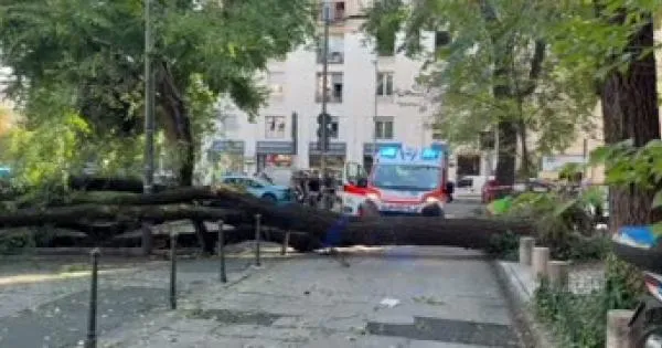 https://gazzettadiparma.cdn.m33cloud.com/resizer/600/315/true/ansa/2026_09_14/i202609141714_365x180.jpg--.webp