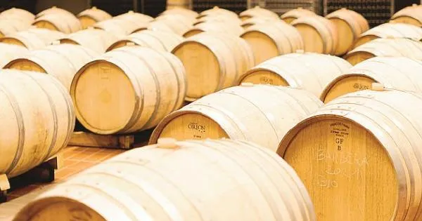 https://gazzettadiparma.cdn.m33cloud.com/resizer/600/315/true/gn4/52741/GN4_DAT_52741843.jpg--_arrivederci_vendemmia___la_festa_finale_tra_i_filari_a_monte_delle_vigne.webp