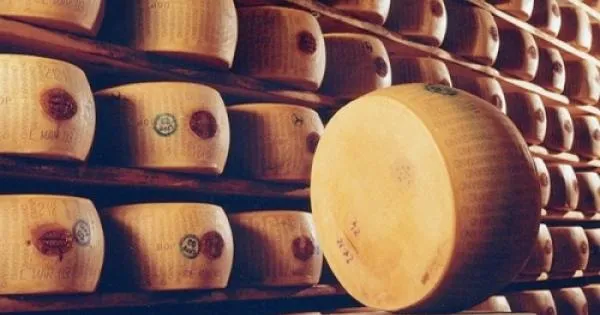 https://gazzettadiparma.cdn.m33cloud.com/resizer/600/315/true/gn4/645/GN4_DAT_645791.jpg--borsa_merci_parma__stabile_il_parmigiano_reggiano__lievi_aumenti_per_zangolato__foraggi_e_alcuni_cereali.webp